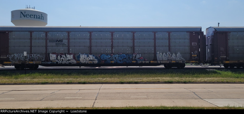 TTGX 974423